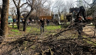 Коллектив Волгодонской городской Думы принял участие в уборке парка Победы